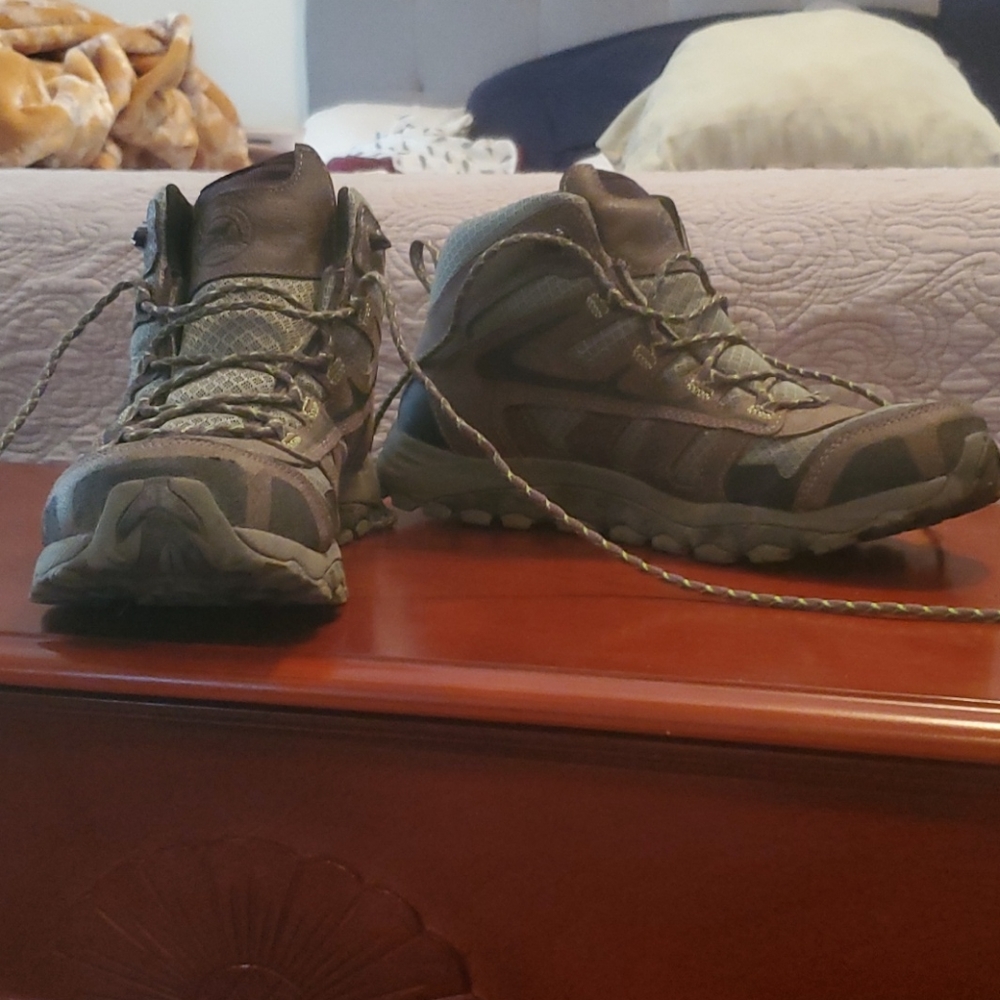 Red wing Irish Setters